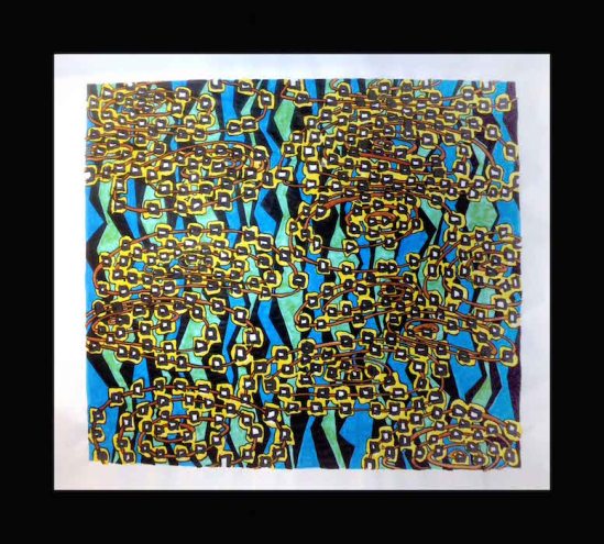 Frog Egg Colony Narrowsburg