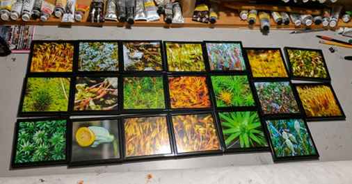 99111662-9D70-4E6E-ABD8-8DC803F741BF