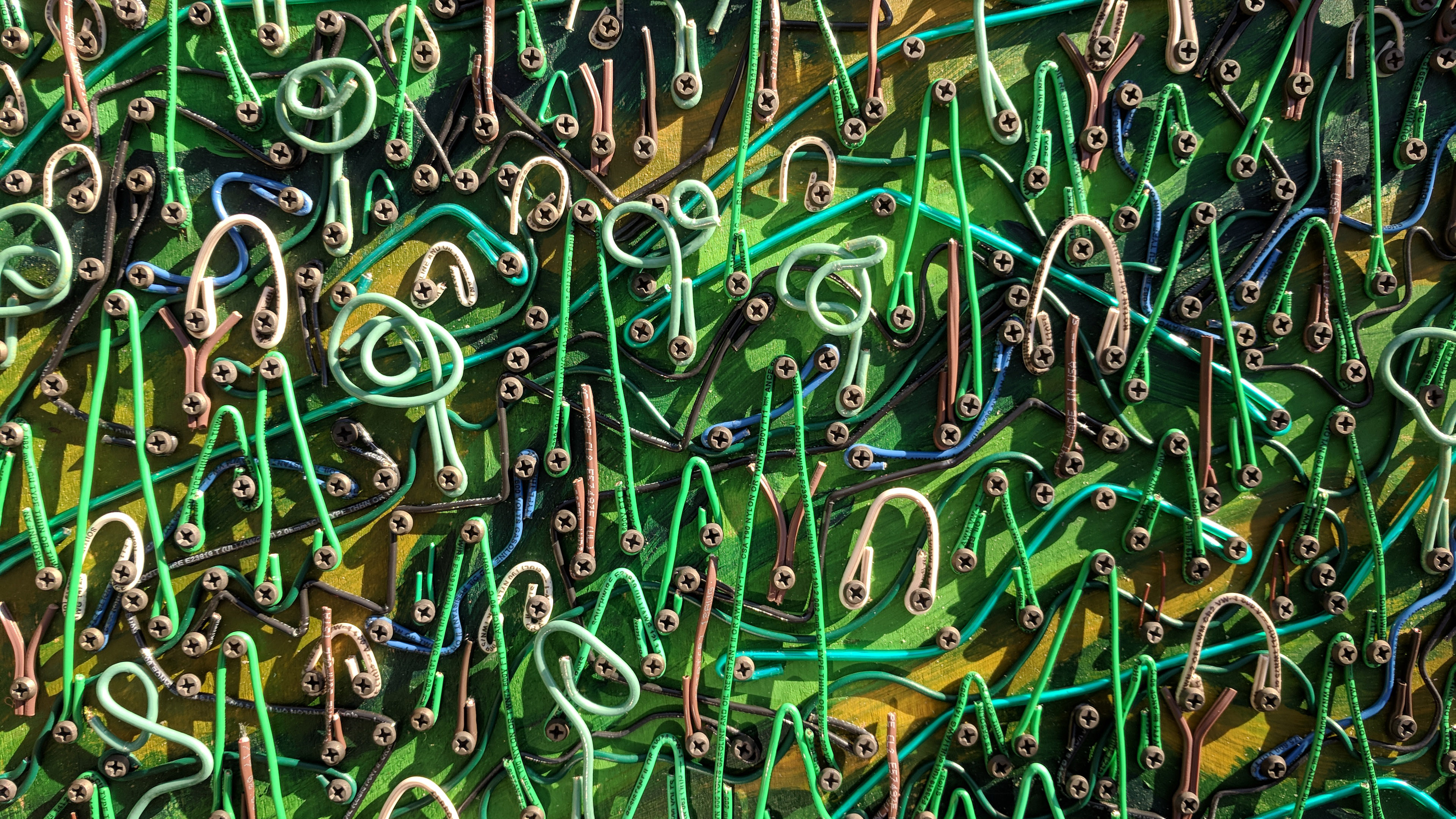 CIMG_20180115_113749_edited-1