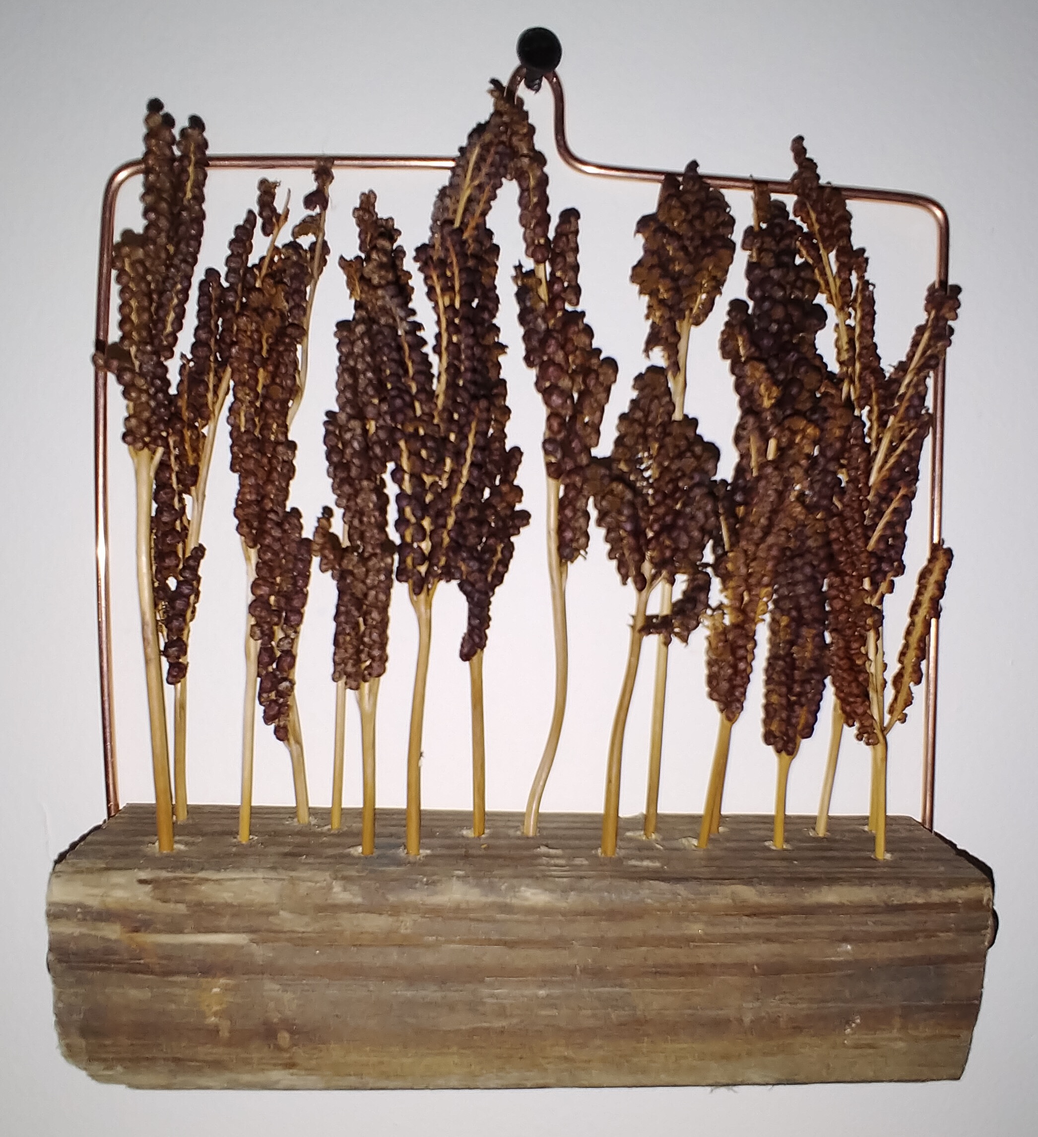 588A7AC3-B3FF-4A2B-9DCE-45702222F930