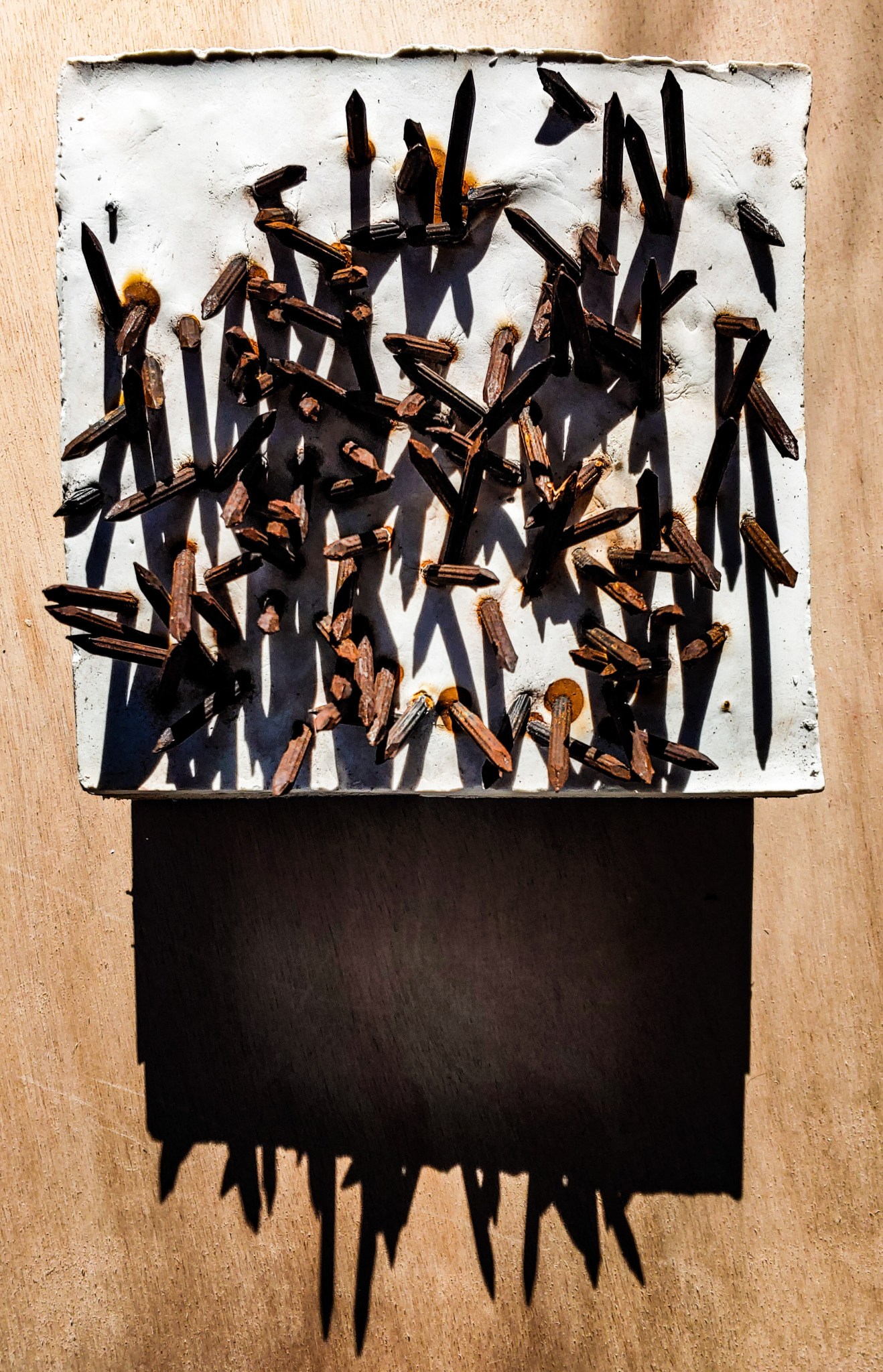 77906197-9C55-48A5-A1ED-DCBFE82E9892