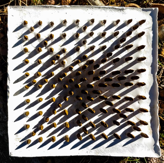 D2E72AA5-7CE3-44E7-9804-E8300F37310A