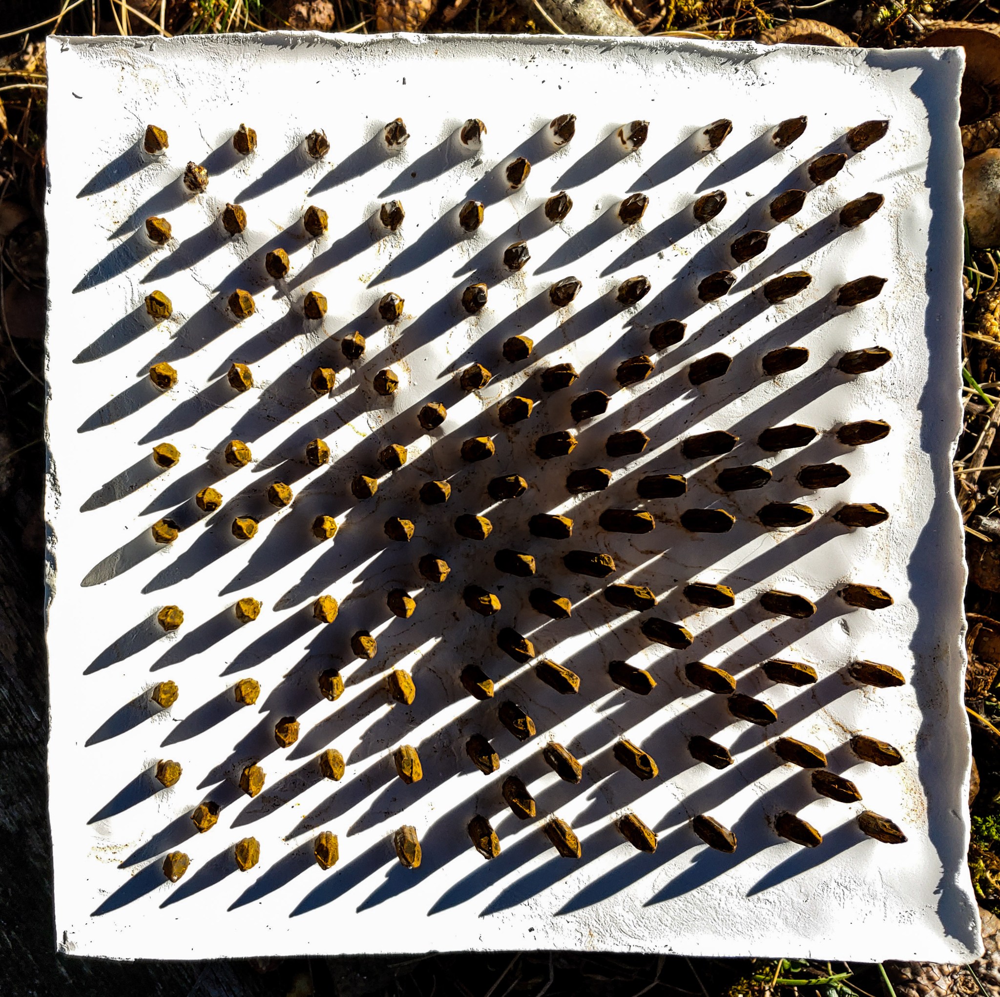 D2E72AA5-7CE3-44E7-9804-E8300F37310A