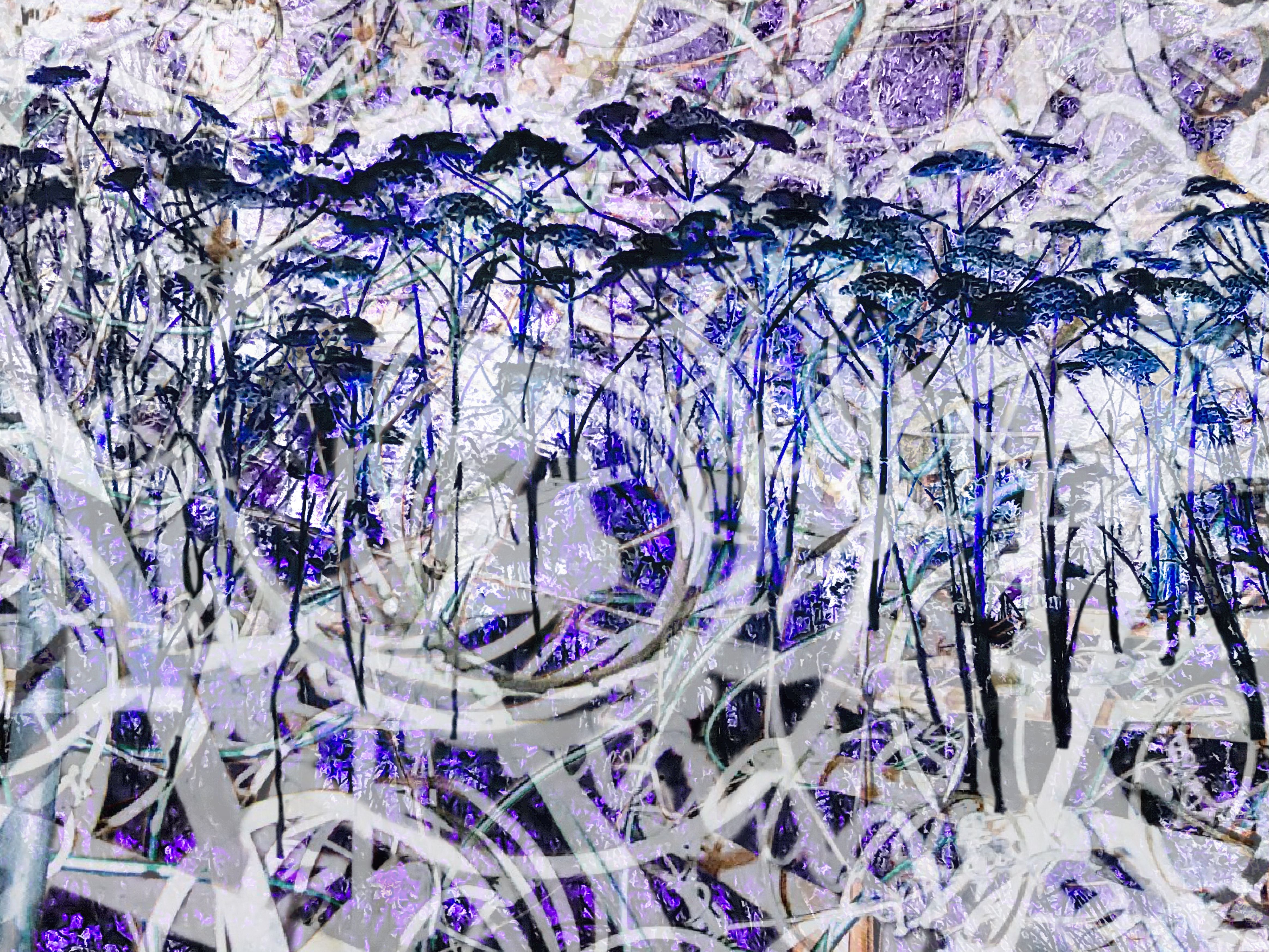 B8A14A9D-703A-4960-BF35-0488D48B220A