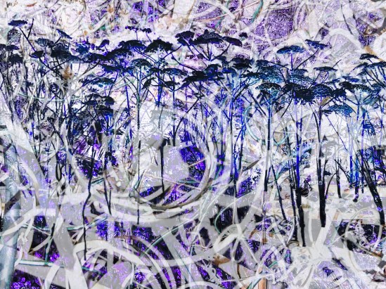 B8A14A9D-703A-4960-BF35-0488D48B220A